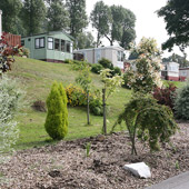 Crook Farm